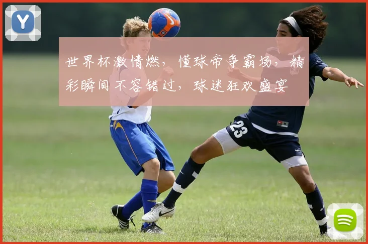 世界杯激情燃，懂球帝争霸场，精彩瞬间不容错过，球迷狂欢盛宴