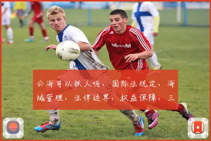 公海可以抓人吗，国际法规定，海域管理，法律边界，权益保障，三个关键点，一探究竟。