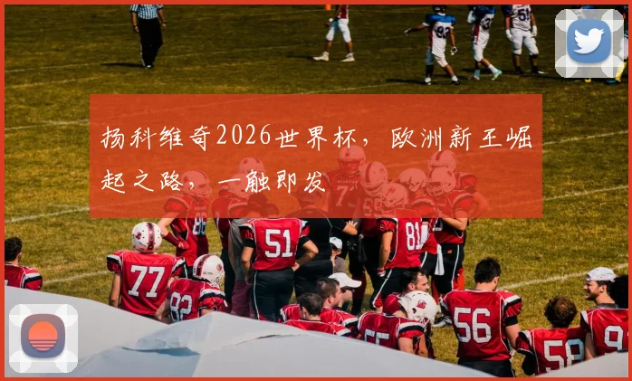 扬科维奇2026世界杯，欧洲新王崛起之路，一触即发